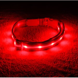 Blazin' Safety LED USB Rechargeable Nylon Dog Collar, Red, X-Small