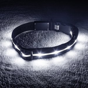 Blazin' Safety LED USB Rechargeable Nylon Dog Collar, Black, X-Small