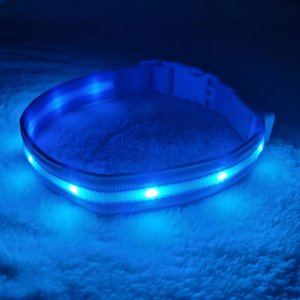 Blazin' Safety LED USB Rechargeable Nylon Dog Collar, Light Blue, Small