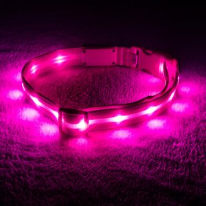 Blazin' Safety LED USB Rechargeable Nylon Dog Collar, Pink, Small
