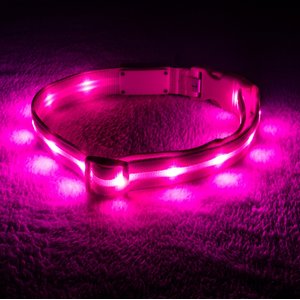 Blazin' Safety LED USB Rechargeable Nylon Dog Collar, Pink, Medium