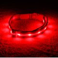 Blazin' Safety LED USB Rechargeable Nylon Dog Collar, Red, Medium