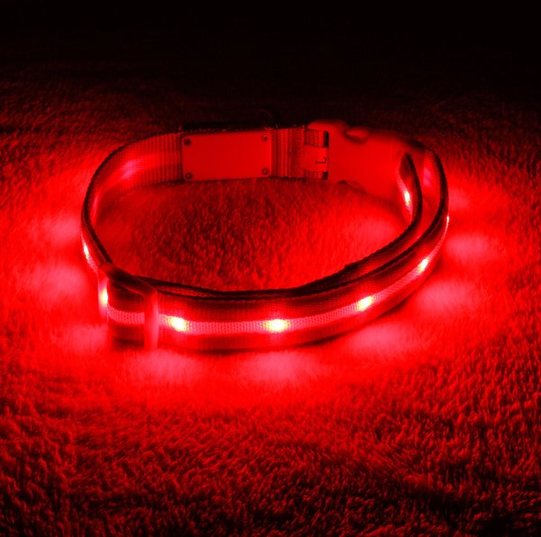 Blazin' Safety LED USB Rechargeable Nylon Dog Collar, Red, Large slide 1 of 9