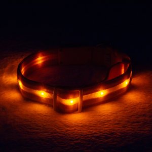 Blazin' Safety LED USB Rechargeable Nylon Dog Collar, Orange, Large