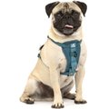 Kurgo Tru-Fit Enhanced Strength Crash Tested Smart Car Dog Harness, Ink Blue, X-Small: 12 to 18-in chest