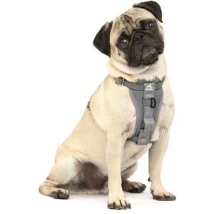 Kurgo Tru-Fit Enhanced Strength Smart Dog Harness, Charcoal, Small: 16 to 22-in chest