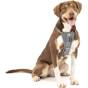 Tru-Fit Smart Dog Seat Belt Harness with Seatbelt Tether – Pet