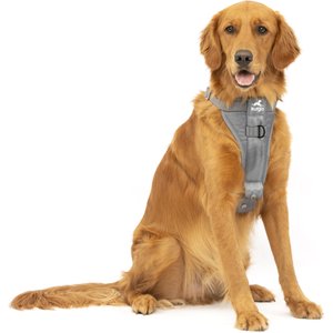 Kurgo Tru-Fit Enhanced Strength Crash Tested Smart Car Dog Harness, Charcoal, Large: 24 to 34-in chest