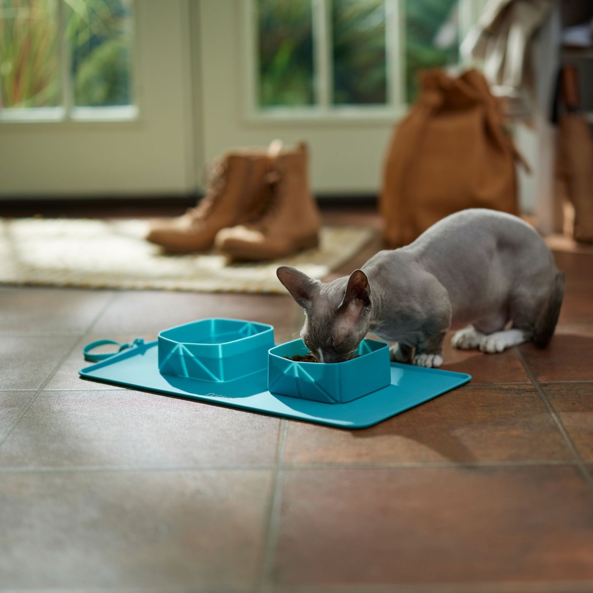 Frisco Travel Silicone Dog & Cat Travel Double Diner Bowl