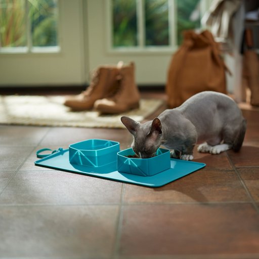 Frisco Travel Silicone Dog & Cat Travel Double Diner Bowl, Teal, Medium: 3 cup
