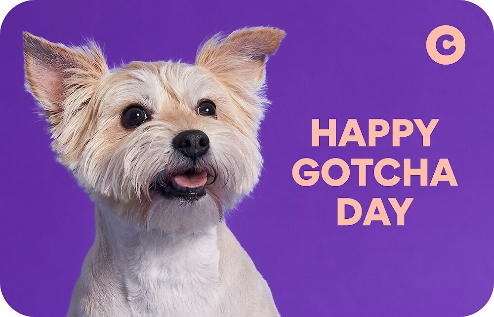 CHEWY eGift Card Customer Questions