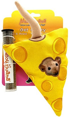 Frisco Squirrel Plush Cat Toy with Refillable Catnip