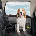 PetSafe Happy Ride Car Door Protectors, Gray