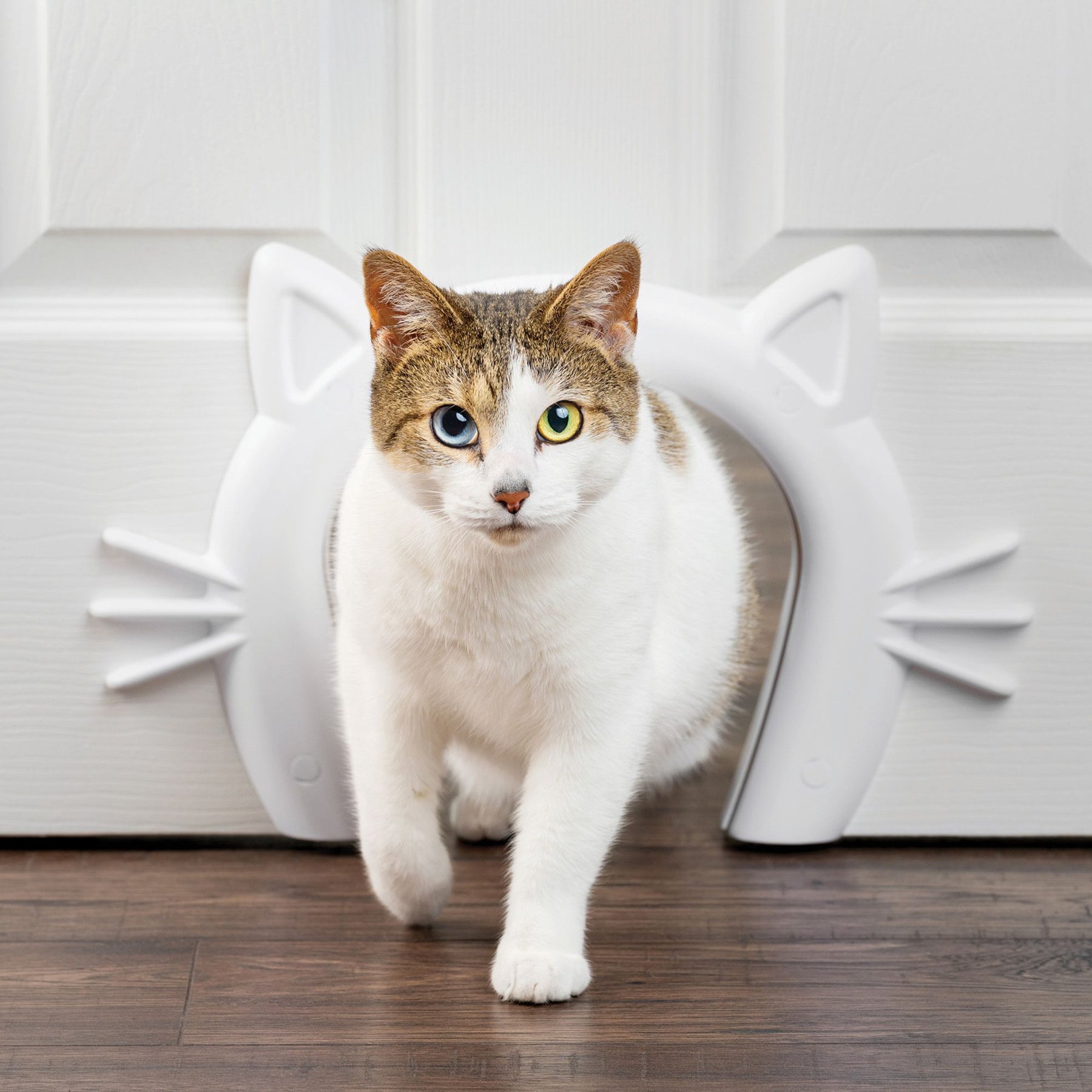 Cathole cat door outlet with brush