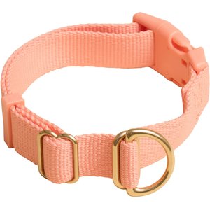 Awoo Pack Standard Dog Collar, Peach, Large: 14 to 22-in neck, 1-in wide