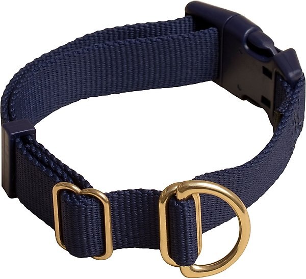 Awoo Pack Standard Dog Collar, Navy, Small: 10 to 15-in neck, 3/4-in wide slide 1 of 8