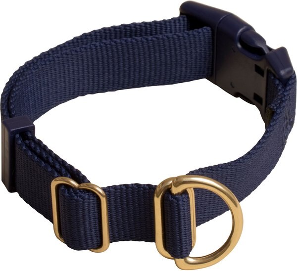 Awoo Pack Standard Dog Collar, Navy, Medium: 12 to 19-in neck, 3/4-in wide slide 1 of 8