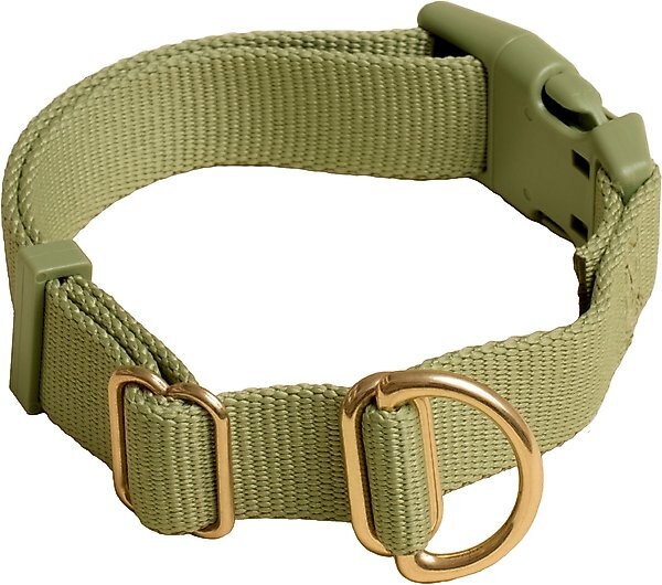 Awoo Pack Standard Dog Collar, Olive, Small: 10 to 15-in neck, 3/4-in wide slide 1 of 8