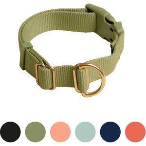 Awoo Pack Standard Dog Collar, Olive, Medium: 12 to 19-in neck, 3/4-in wide