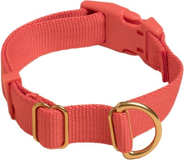 Awoo Pack Standard Dog Collar, Spice, Medium: 12 to 19-in neck, 3/4-in wide slide 1 of 8