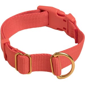 Awoo Pack Standard Dog Collar, Spice, Medium: 12 to 19-in neck, 3/4-in wide