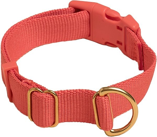 Awoo Pack Standard Dog Collar, Spice, Large: 14 to 22-in neck, 1-in wide slide 1 of 8