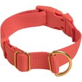 Awoo Pack Standard Dog Collar, Spice, Large: 14 to 22-in neck, 1-in wide
