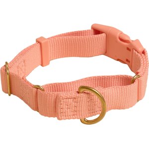 SUBLIME Adjustable Dog Collar, Pink & Orange Flowers on Navy, Small:  8-12-in neck, 3/4-in wide 