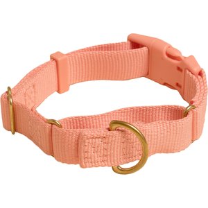 Awoo Marty Martingale Dog Collar, Peach, Medium: 13.5 to 18-in neck, 3/4-in wide