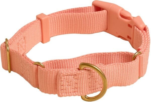 Awoo Marty Martingale Dog Collar, Peach, Large: 16 to 22.5-in neck, 1-in wide slide 1 of 8