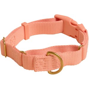 Awoo Marty Martingale Dog Collar, Peach, Large: 16 to 22.5-in neck, 1-in wide