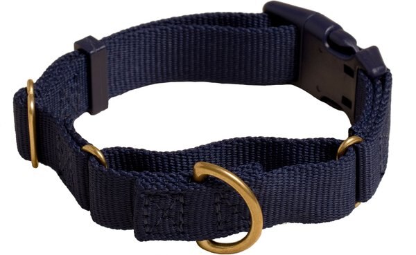Awoo Marty Martingale Dog Collar, Navy, Medium: 13.5 to 18-in neck, 3/4-in wide slide 1 of 8