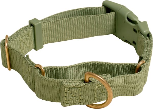 Awoo Marty Martingale Dog Collar, Olive, Large: 16 to 22.5-in neck, 1-in wide slide 1 of 8
