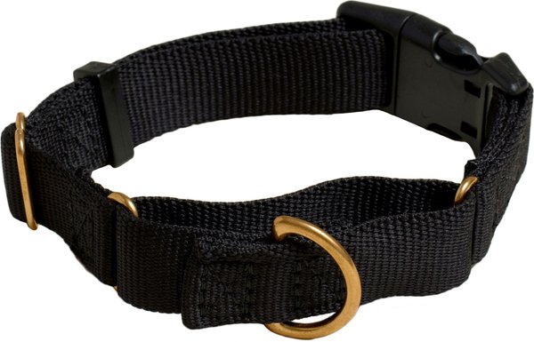 Awoo Marty Martingale Dog Collar, Black, Small: 11.5 to 14-in neck, 3/4-in wide slide 1 of 8