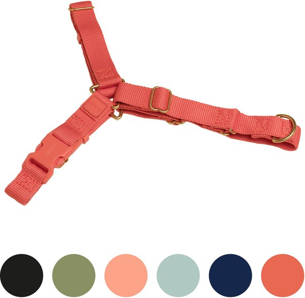 Awoo Roam No Pull Dog Harness, Spice, Medium: 18.5 to 29-in chest slide 1 of 8