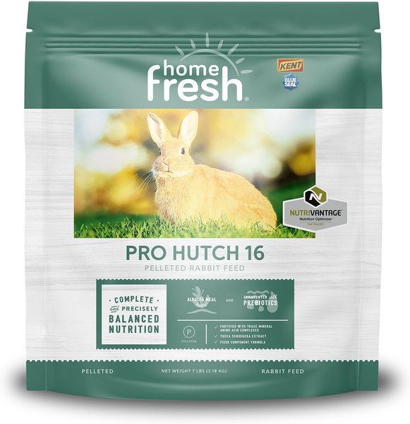 Blue Seal Home Fresh Pro Hutch 16 Pelleted Rabbit Food 7 lb. Bag