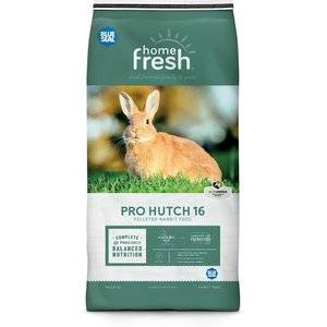 Blue Seal Home Fresh Pro Hutch 16 Pellet Rabbit Food, 50-lb bag