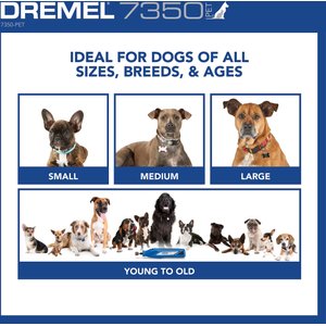 Dremel 7350-PT Cordless Dog & Cat Rotary Nail Grinder Kit