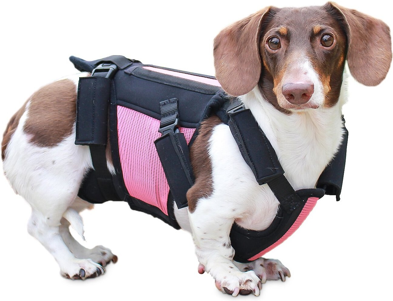Walkin Pets Dog Walkin' VertebraVe, Pink