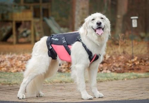 Show full view: Walkin Pets Dog Walkin' VertebraVe, Pink, X-Large slide 5 of 7