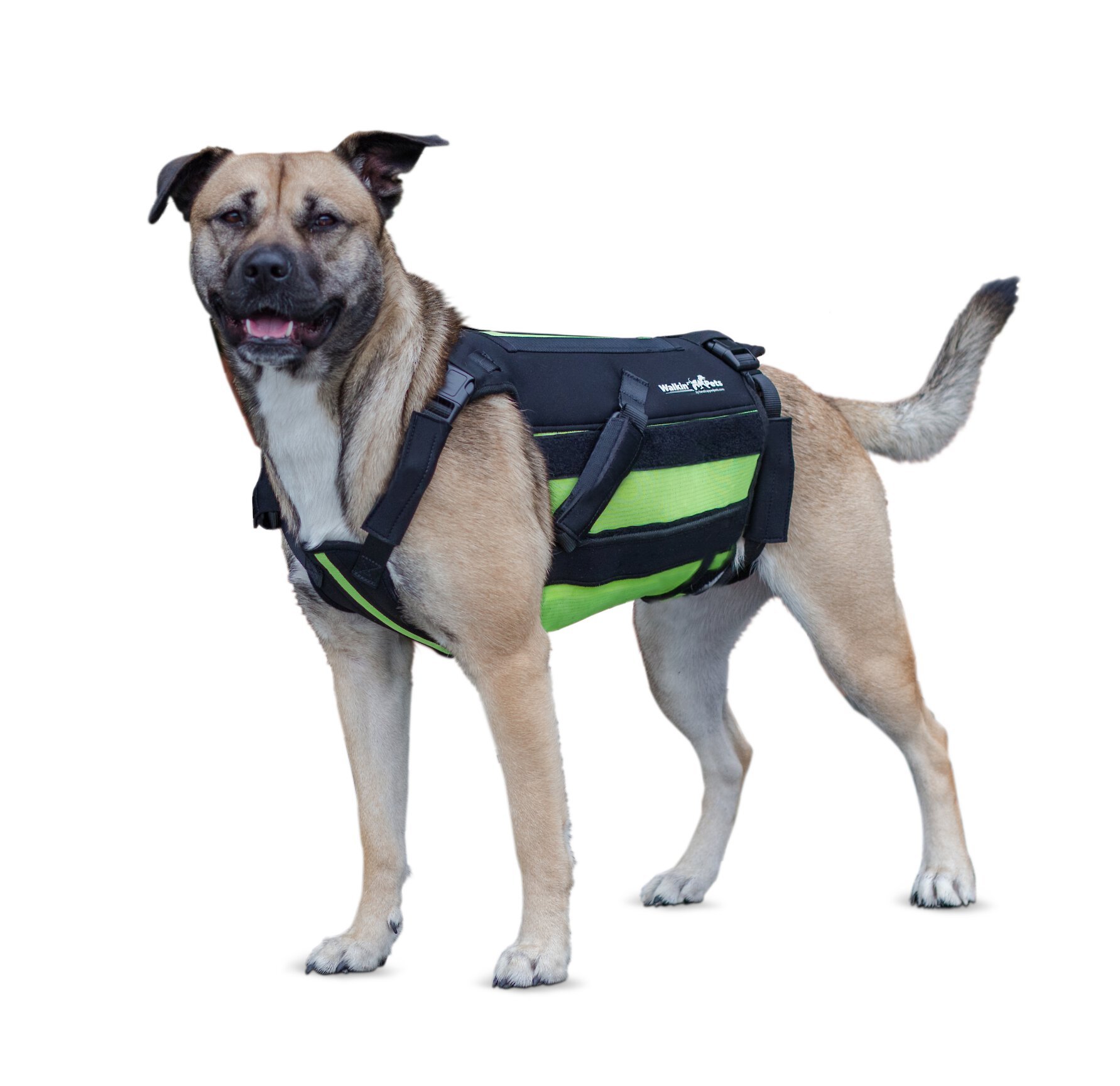 Walkin Pets Dog Walkin' VertebraVe, Green