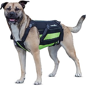Walkin' Pets Dog Walkin' Hip-EEZ Support System, Black, Small