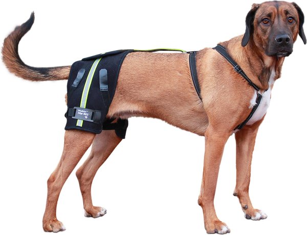 Walkin' Pets Dog Walkin' Hip-EEZ Support System, Black, Medium/Large slide 1 of 5