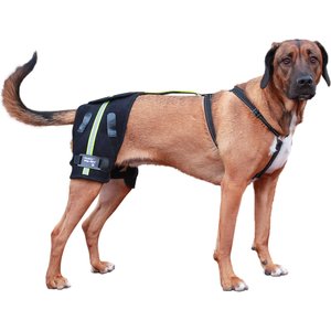 Walkin' Pets Dog Walkin' Hip-EEZ Support System, Black, Medium/Large