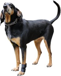 Walkin' Pets Dog Walkin' Wrist Hugger, Black, X-Small
