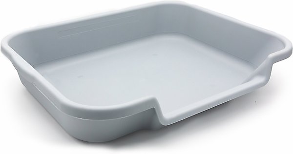 Kitty Go Here Cat Litter Pan, Large slide 1 of 3