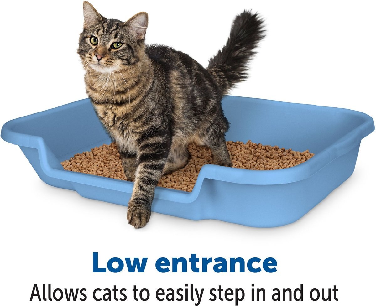 KITTYGOHERE Cat Litter Pan, Large, Blue