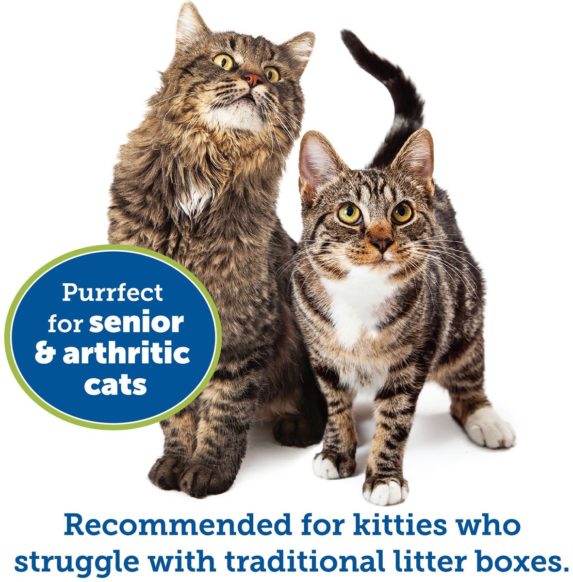 KITTYGOHERE Cat Litter Pan, Large, Blue