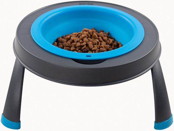 dexas pet feeder