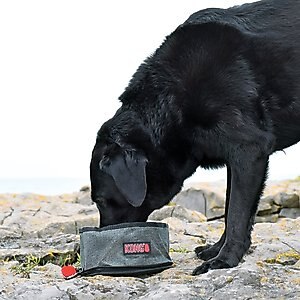 KONG Fold-Up Dog Bowl, Red & Black, Small